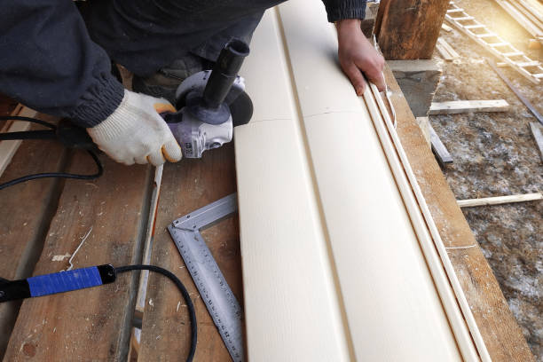 Best Custom Trim and Detailing for Siding  in Mulberry, FL